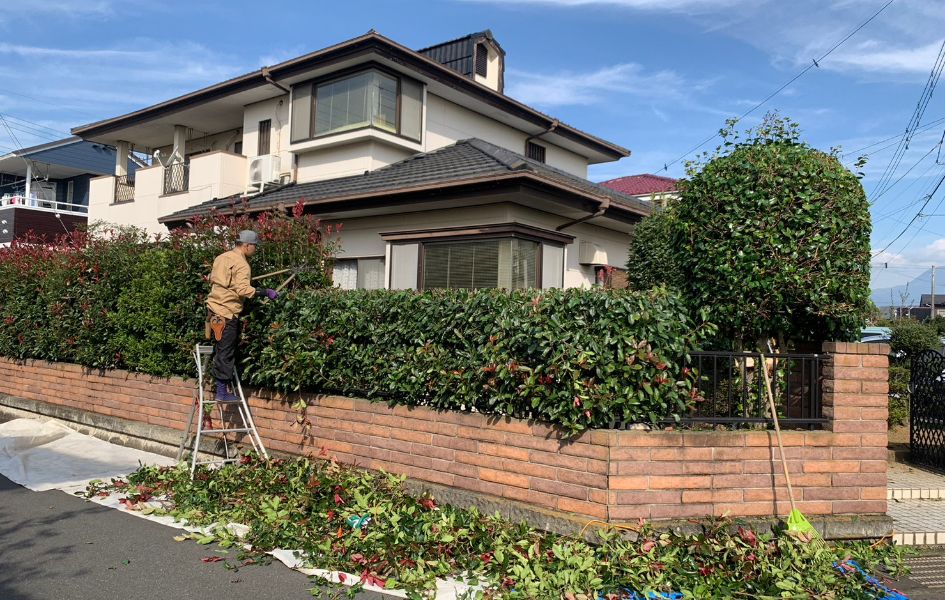 植木剪定刈り込み